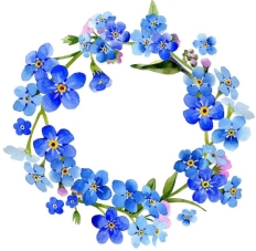 รูปดอกไม้สีน้ำพื้นหลังสีขาวกรอบ PNG , กรอบสีน้ำ, กรอบดอกไม้, ดอกไม้ภาพ PNG  และ PSD สำหรับดาวน์โหลดฟรี